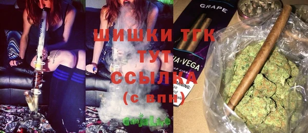спиды Каменка