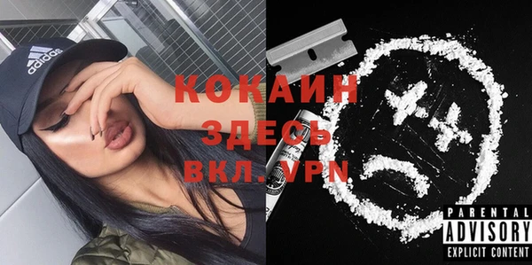 спиды Каменка