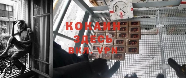спиды Каменка