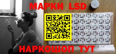 стафф Донецк