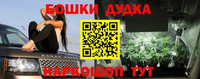 a pvp Гусев