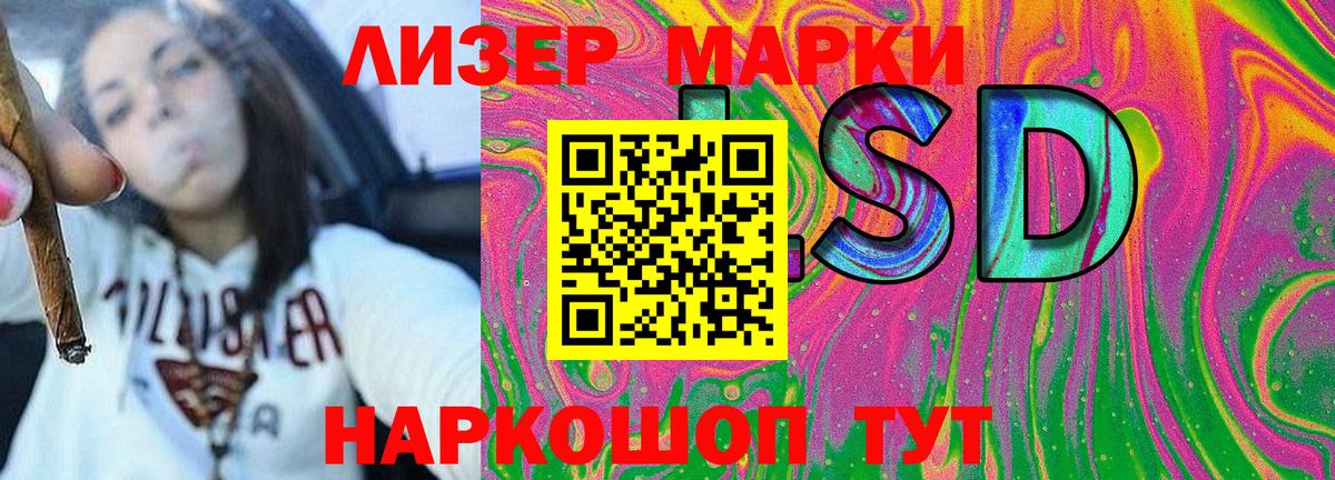 Альфа ПВП Можга