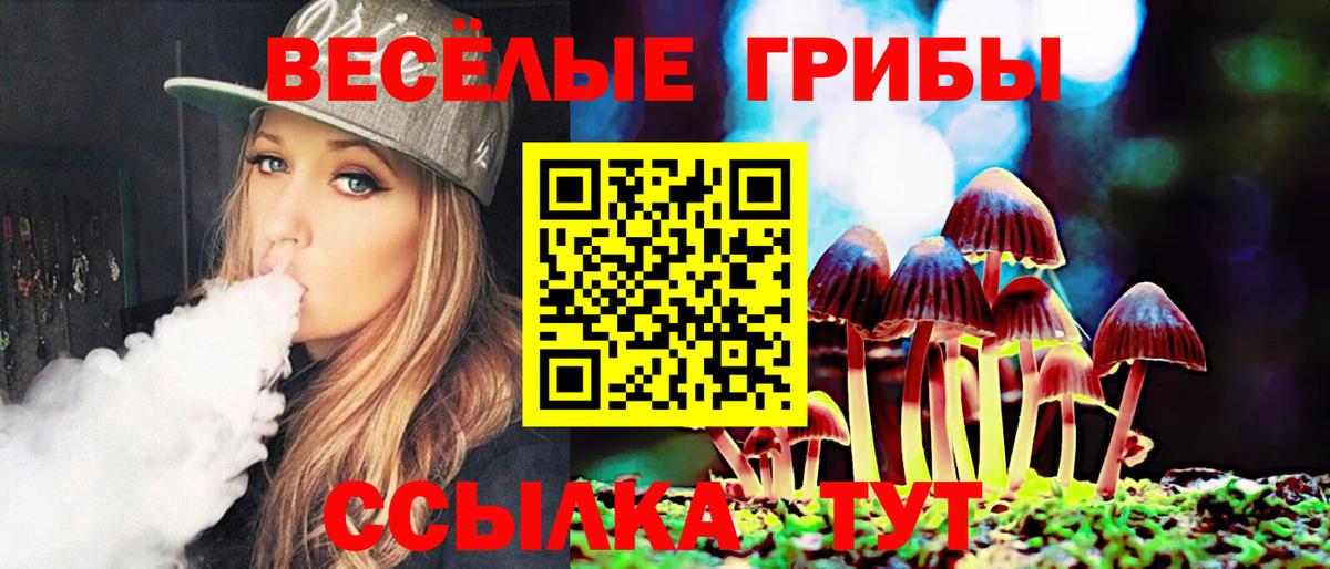 Галлюциногенные грибы мухоморы Можга