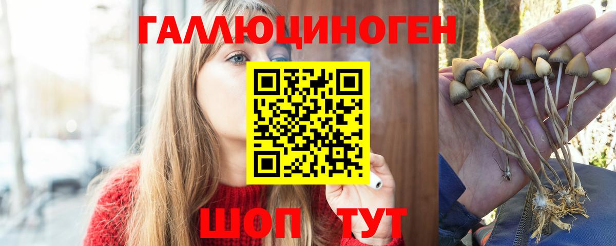 Можга  Галлюциногенные грибы MAGIC MUSHROOMS  Вход с VPN 